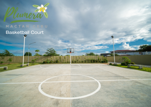 99140-PMR_01_basketballcourt.png