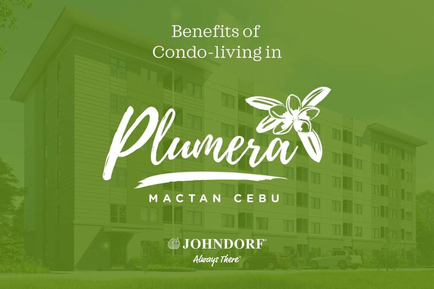 Plumera Mactan
