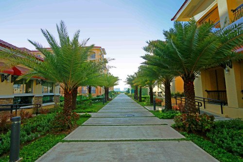 FOR ASSUME 2 Bedroom Condo in San Remo Oasis
