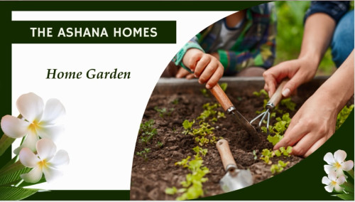 Home Garden.jpg