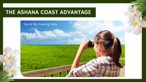 SEA AND SKY VIEWING DECK.jpg